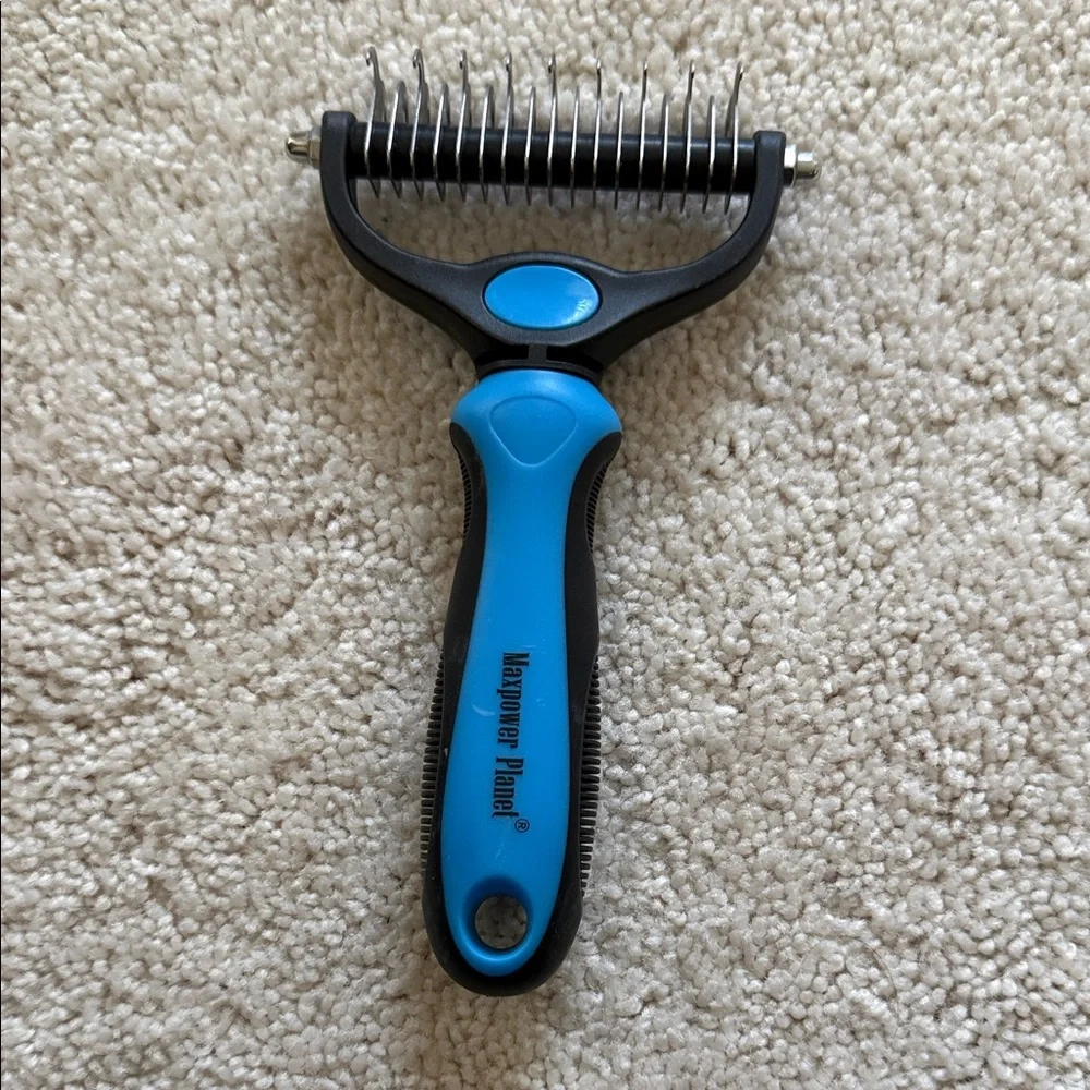Blue dog brush